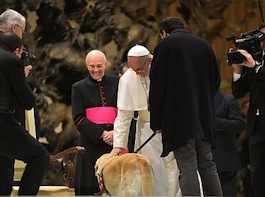 Papa Bergoglio acaricia um cão guia.